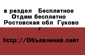  в раздел : Бесплатное » Отдам бесплатно . Ростовская обл.,Гуково г.
